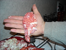 DSCN0540.JPG
